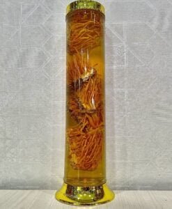 Rượu Đông Trùng Hạ Thảo 1.8 lít