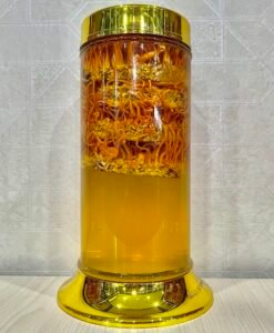 Rượu Đông Trùng Hạ Thảo 2.8 lít