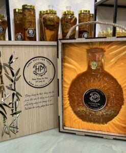 Rượu Đông Trùng Hạ Thảo Chai XO (có hộp quà) 500ml