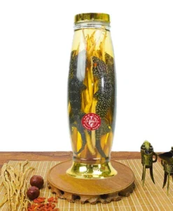Bình Tắc Kè 2.6 Lít Tắc kè ngâm