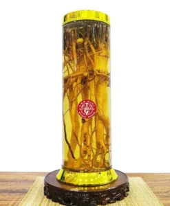 Bình Đinh Lăng Nguyên Gốc 9,8 Lít