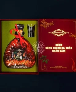 Bình Đông Trùng Hạ Thảo Nhân Sâm 750ml - Hộp Quà Biếu