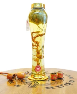 Bình Sâm Ngọc Linh Kontum 3,4 Lít
