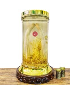 Bình Nhung Hươu Ngâm Sâm 11 Lít
