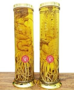 Bình Đinh Lăng Điêu Khắc Rồng Phụng Cặp 16 Lít