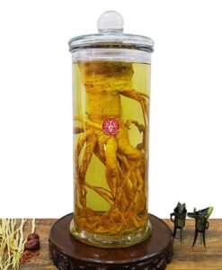 Bình Đinh Lăng Nguyên Gốc 12 Lít