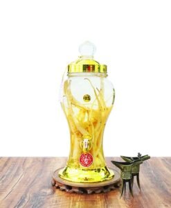 Bình Sâm Dây Ngọc Linh Tươi 3 Lít